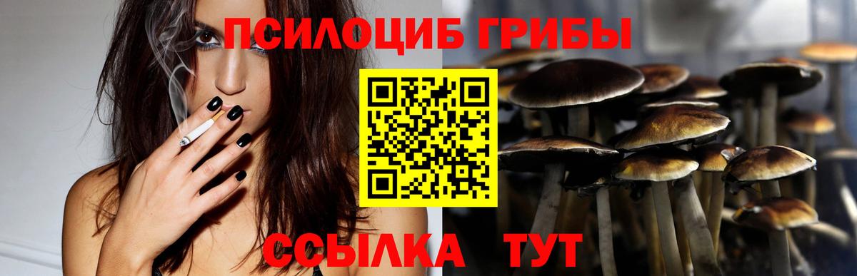 Псилоцибиновые грибы MAGIC MUSHROOMS  Вход с VPN  Псилоцибиновые грибы Cubensis  Кимовск 