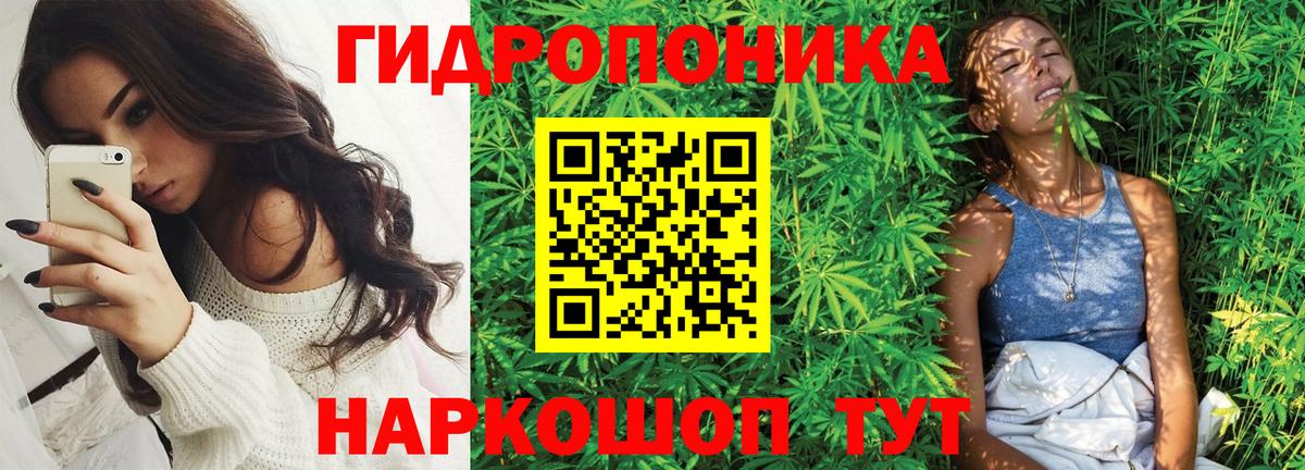 Марихуана план  Бошки Шишки сатива  Каннабис тримм  Кимовск  Вход с VPN  Конопля тримм 